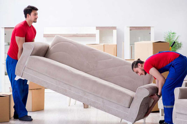 Furniture Shifting
